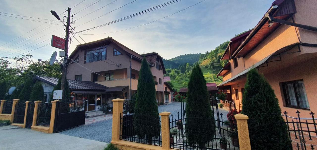 Pensiunea Apuseni Vidra  Esterno foto