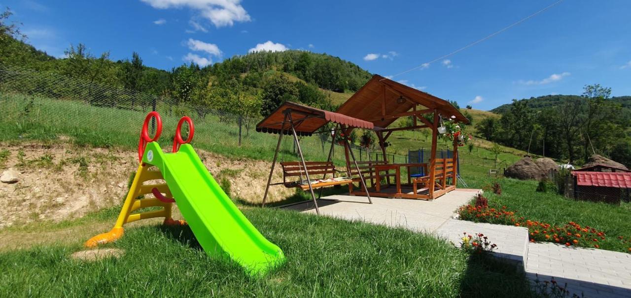 Pensiunea Apuseni Vidra  Esterno foto